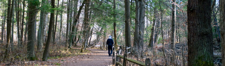 Jacobsburg State Park Map Jacobsburg State Park - Attractions - D&L - Delaware & Lehigh