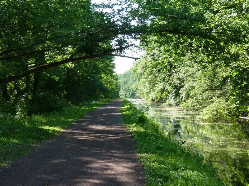 June 16 Trail Tenders in Delaware Canal State Park at Giving Pond - D&L ...