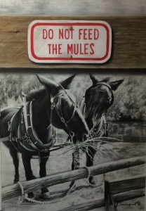 Mule Painting