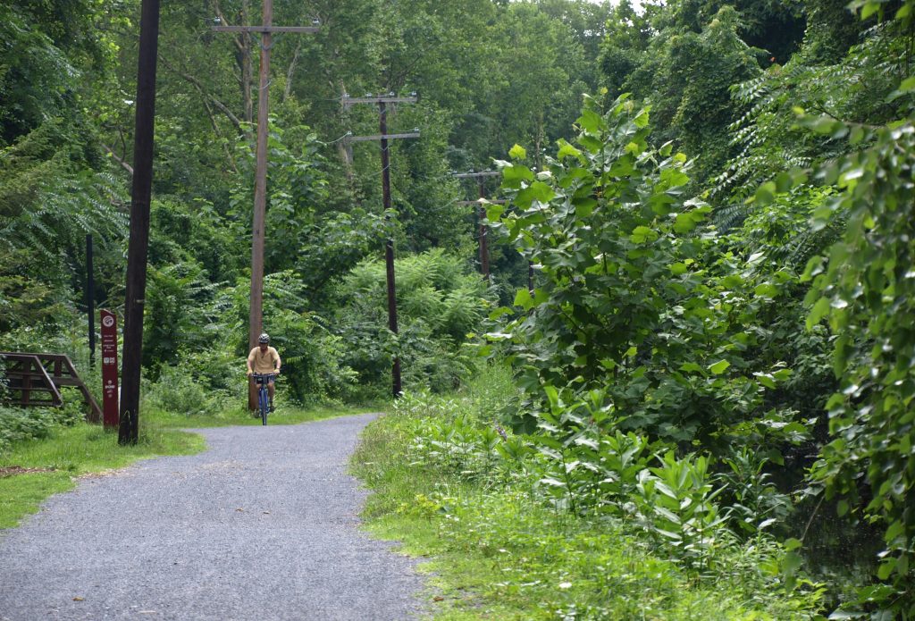 A shot of a biker and of trees on the D&L Trail in Bethlehem, PA.