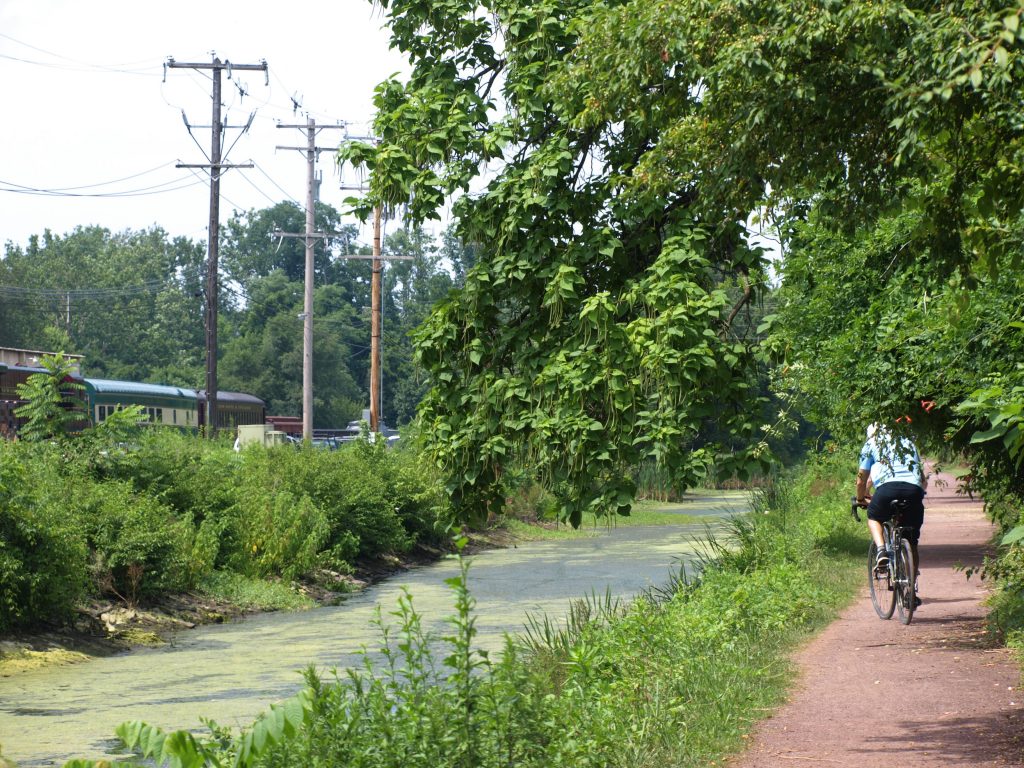 A bike rider on the D&L Trail section in New Hope, PA