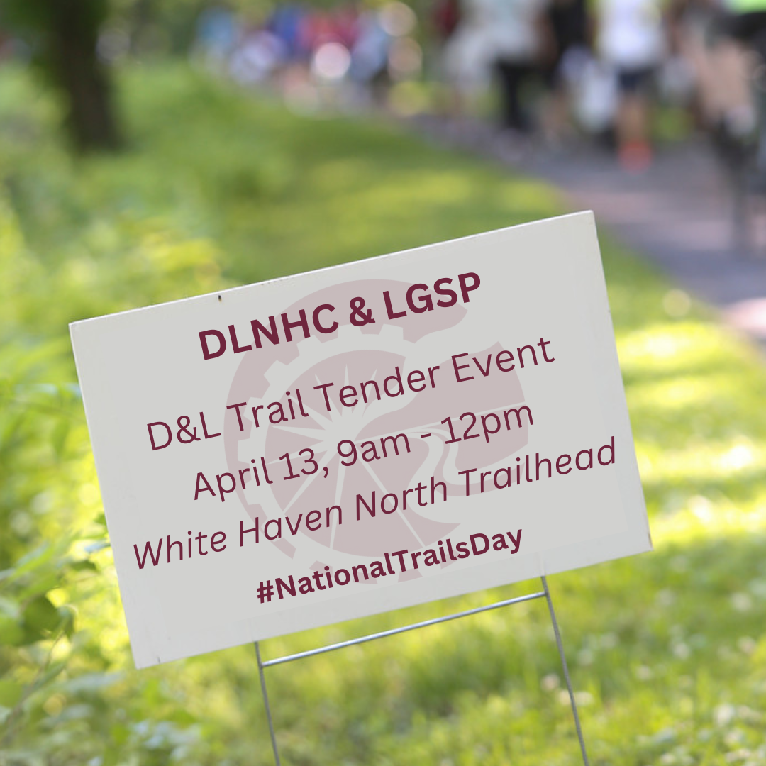 D&L Trail Tenders and Lehigh Gorge State Park (LGSP)