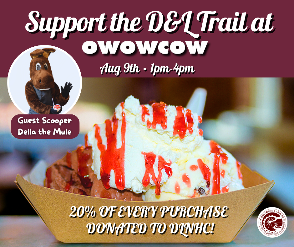 DLNHC Ice Cream Fundraiser at OwowCow Creamery