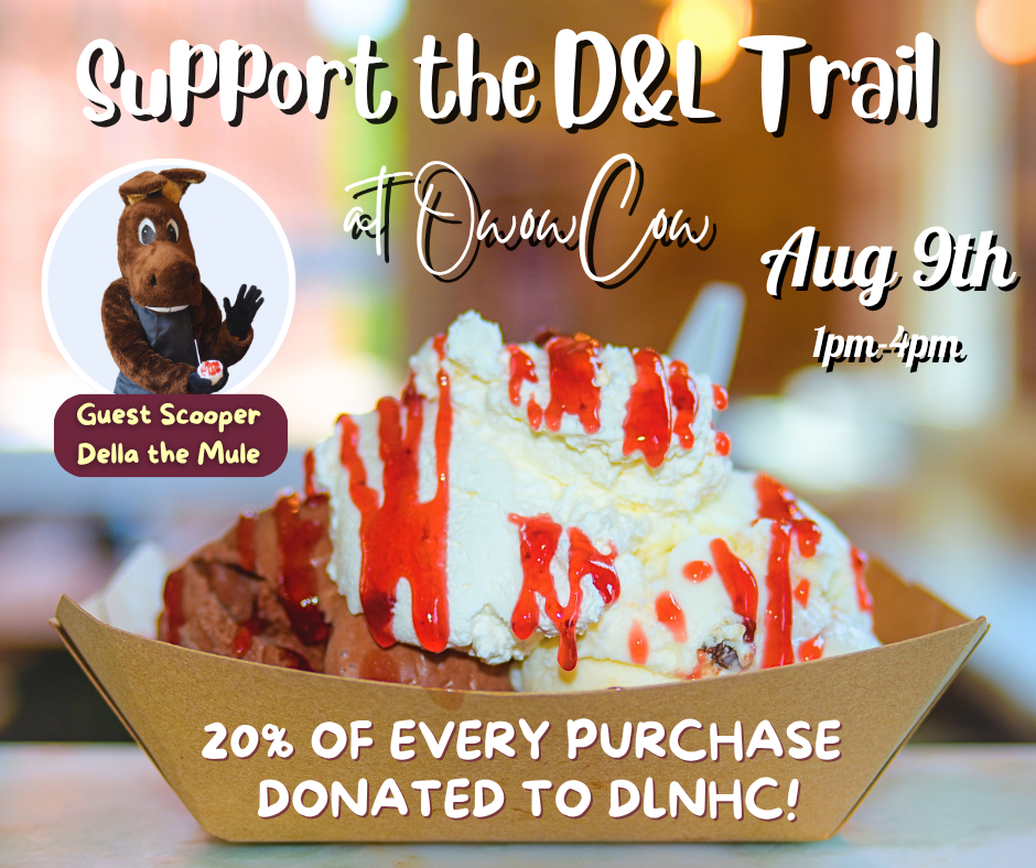 DLNHC Ice Cream Fundraiser at OwowCow Creamery