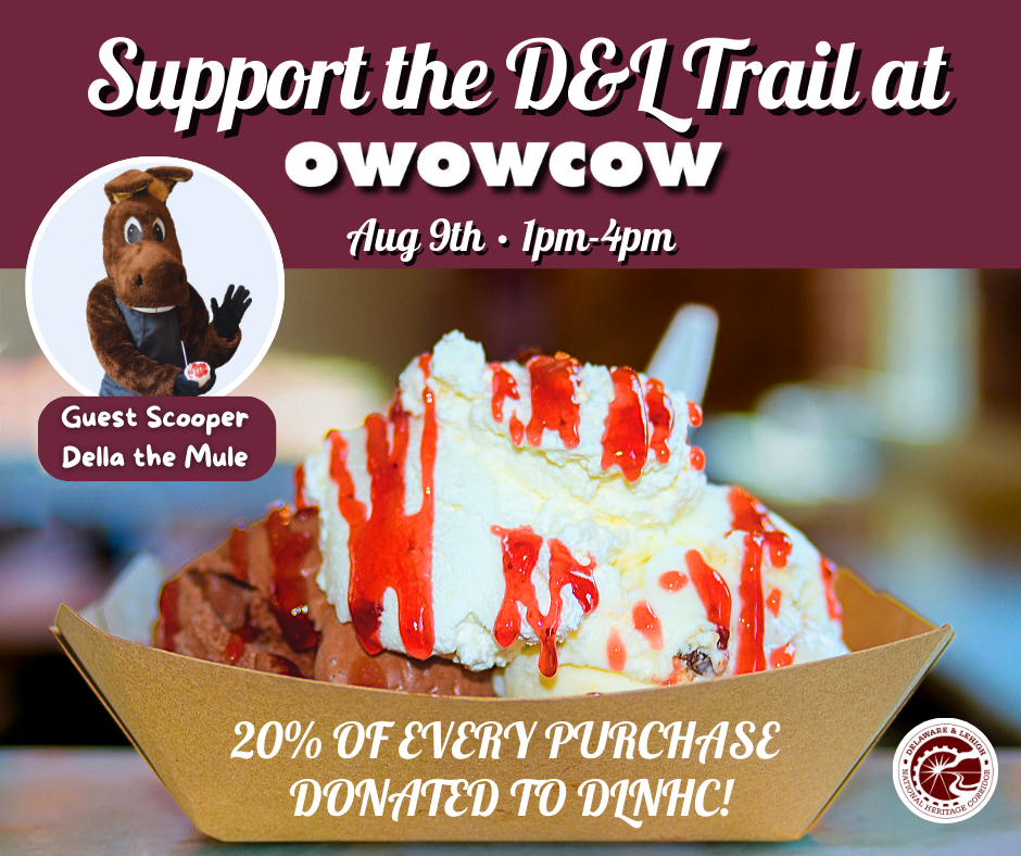 DLNHC Ice Cream Fundraiser at OwowCow Creamery