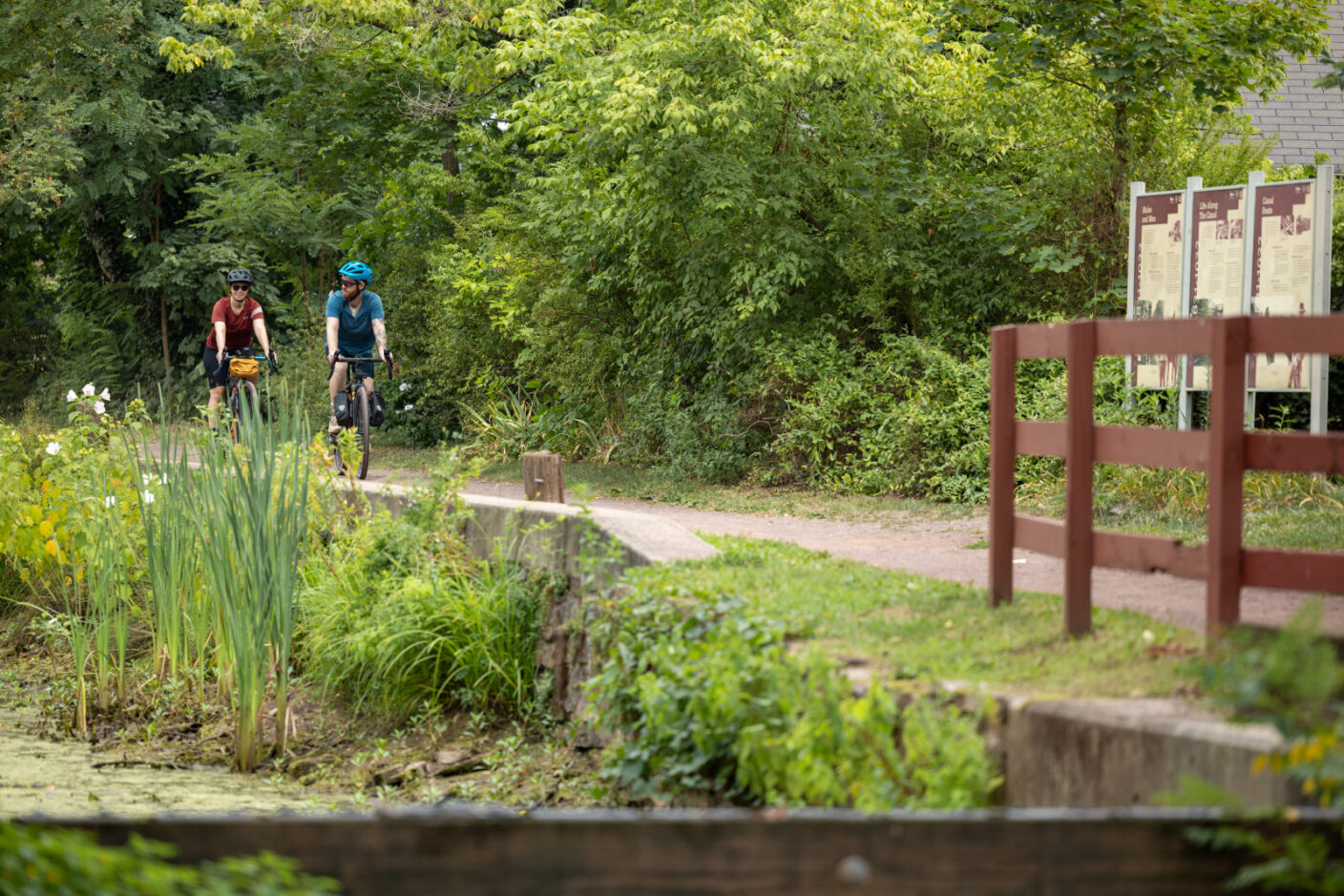 Two cyclists riding along the D&L Trail.