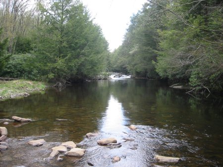 One of Mud Run's deep pools is home to large trout.