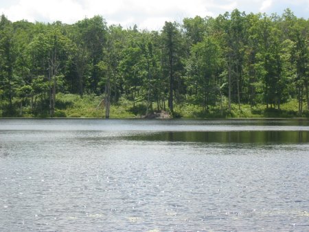 If you are camping in the north, be sure to visit the newest section of the D&L Trail, which features Moosehead Lake.