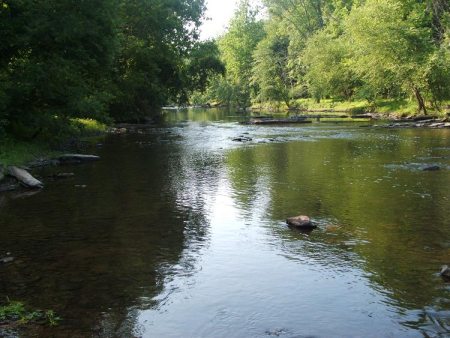Tohickon Creek is one the cleanest streams in the state.